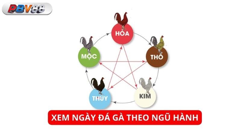 Hướng dẫn bạn cách xem ngày theo quan niệm ngũ hành