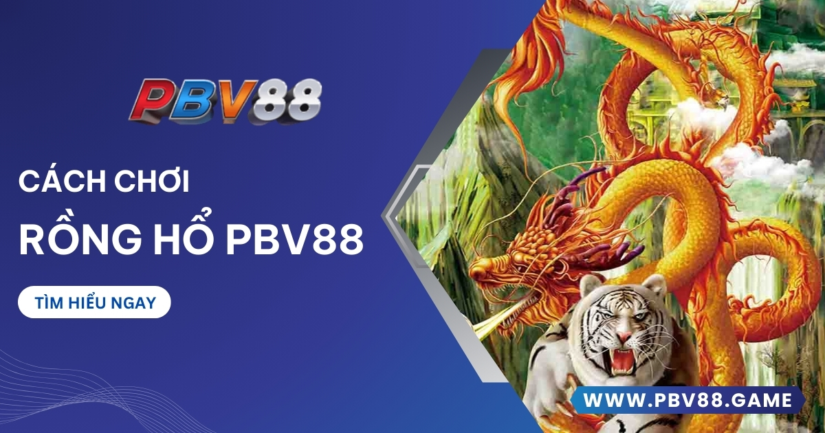 Rồng hổ PBV88